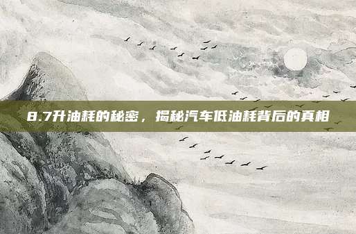 8.7升油耗的秘密,揭秘汽车低油耗背后的真相