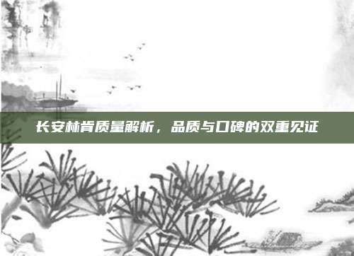 长安林肯质量解析,品质与口碑的双重见证