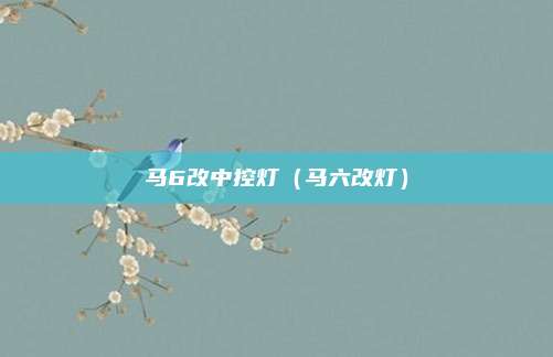 马6改中控灯（马六改灯）