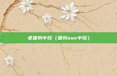 老捷豹中控(捷豹suv中控)