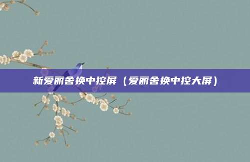 新爱丽舍换中控屏(爱丽舍换中控大屏)