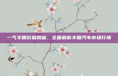 一气丰田价格揭秘,全面解析丰田汽车市场行情