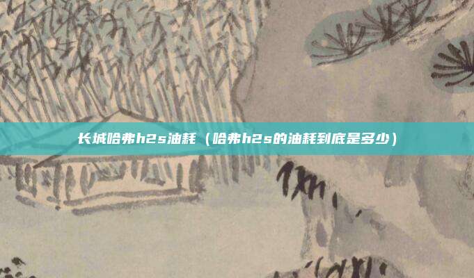 长城哈弗h2s油耗(哈弗h2s的油耗到底是多少)