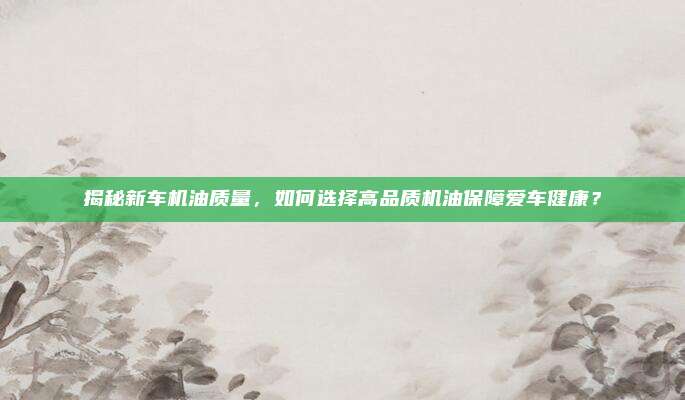 揭秘新车机油质量,如何选择高品质机油保障爱车健康?