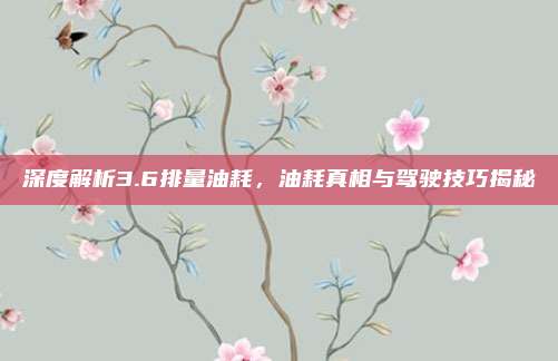 深度解析3.6排量油耗,油耗真相与驾驶技巧揭秘