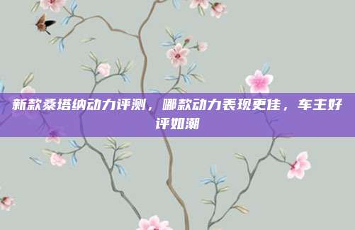 新款桑塔纳动力评测,哪款动力表现更佳,车主好评如潮
