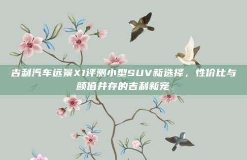 吉利汽车远景X1评测小型SUV新选择,性价比与颜值并存的吉利新宠