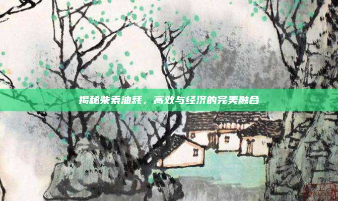 揭秘柴索油耗,高效与经济的完美融合