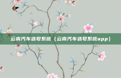 云南汽车选号系统（云南汽车选号系统app）