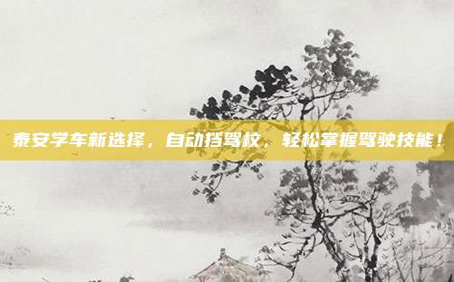 泰安学车新选择,自动挡驾校,轻松掌握驾驶技能!