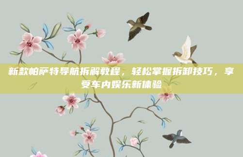 新款帕萨特导航拆解教程,轻松掌握拆卸技巧,享受车内娱乐新体验