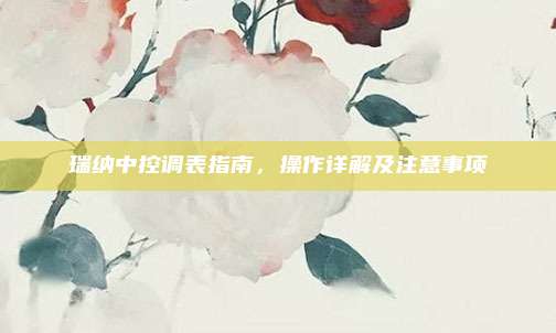 瑞纳中控调表指南,操作详解及注意事项