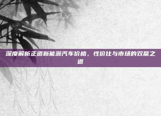 深度解析正道新能源汽车价格,性价比与市场的双赢之道