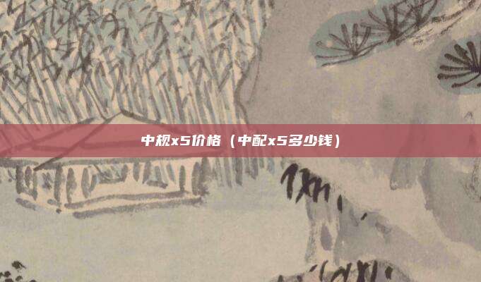 中规x5价格(中配x5多少钱)