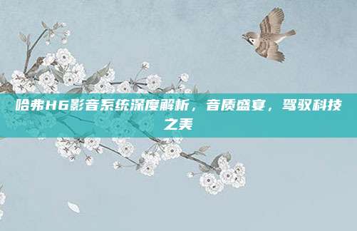 哈弗H6影音系统深度解析,音质盛宴,驾驭科技之美