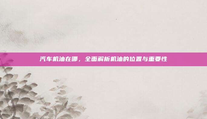 汽车机油在哪,全面解析机油的位置与重要性