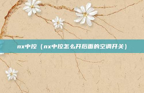 nx中控(nx中控怎么开后面的空调开关)