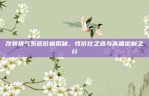 改装排气系统价格揭秘,性价比之选与高端定制之分