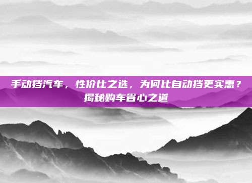 手动挡汽车，性价比之选，为何比自动挡更实惠？揭秘购车省心之道