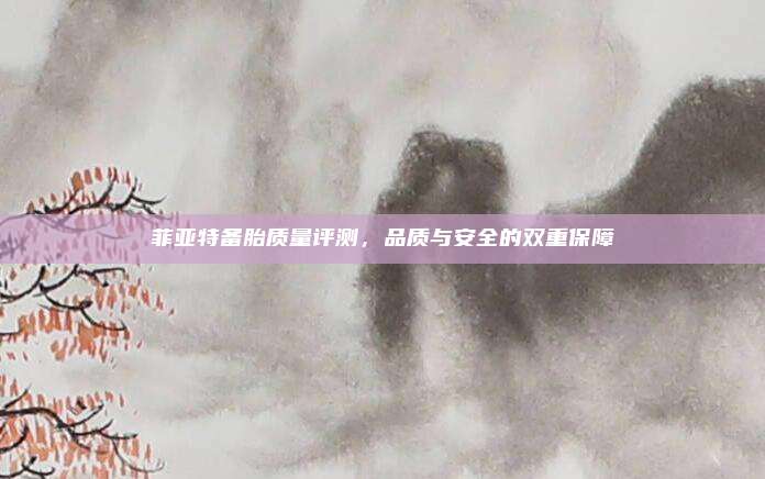 菲亚特备胎质量评测，品质与安全的双重保障