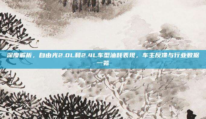 深度解析，自由光2.0L和2.4L车型油耗表现，车主反馈与行业数据一览