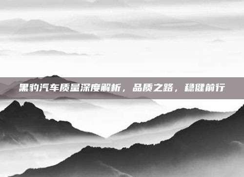 黑豹汽车质量深度解析，品质之路，稳健前行