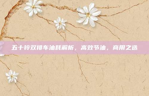 五十铃双排车油耗解析，高效节油，商用之选