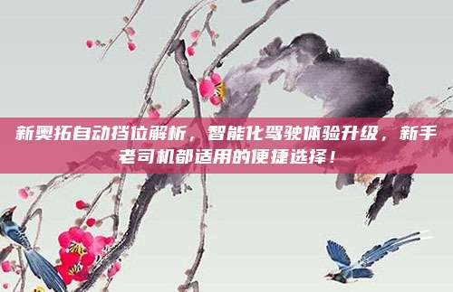 新奥拓自动挡位解析，智能化驾驶体验升级，新手老司机都适用的便捷选择！
