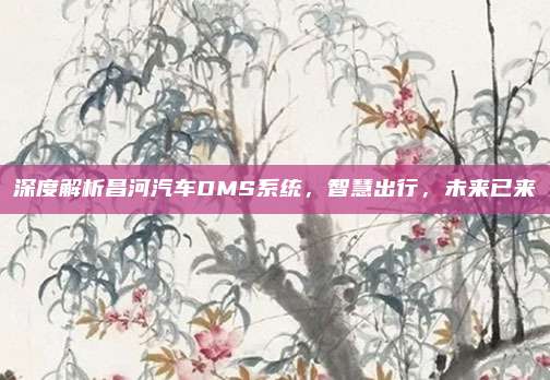 深度解析昌河汽车DMS系统,智慧出行,未来已来