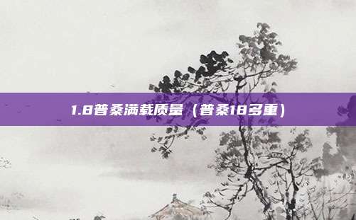 1.8普桑满载质量（普桑18多重）