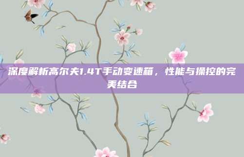 深度解析高尔夫1.4T手动变速箱,性能与操控的完美结合