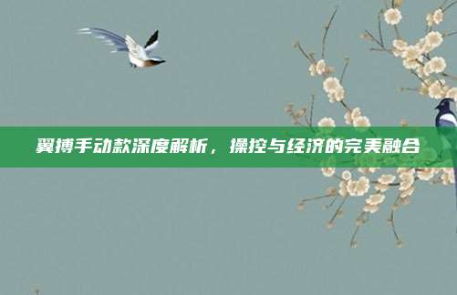 翼搏手动款深度解析,操控与经济的完美融合