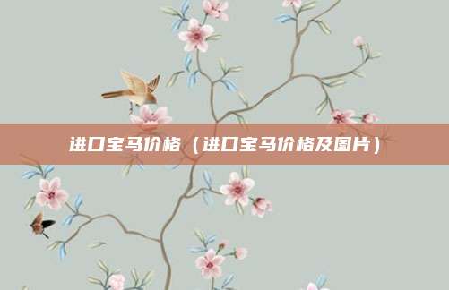 进口宝马价格(进口宝马价格及图片)