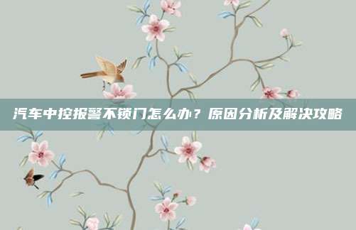 汽车中控报警不锁门怎么办?原因分析及解决攻略