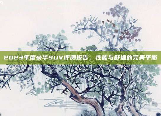 2023年度豪华SUV评测报告,性能与舒适的完美平衡