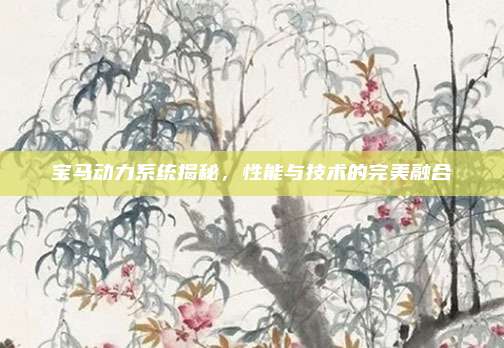 宝马动力系统揭秘,性能与技术的完美融合