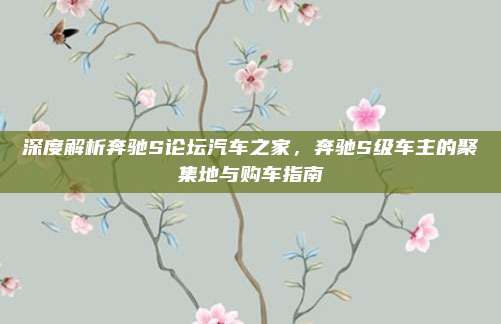 深度解析奔驰S论坛汽车之家,奔驰S级车主的聚集地与购车指南