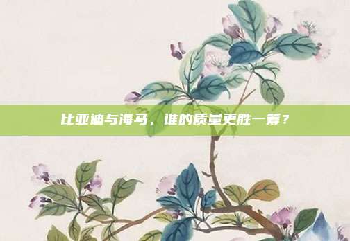 比亚迪与海马,谁的质量更胜一筹?