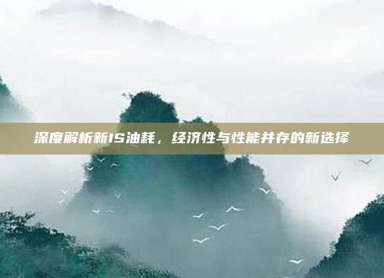 深度解析新IS油耗,经济性与性能并存的新选择