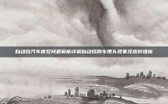 自动挡汽车常见问题解析详解自动挡倒车甩头现象及应对措施