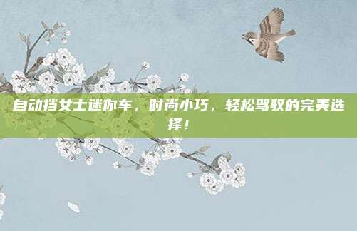 自动挡女士迷你车,时尚小巧,轻松驾驭的完美选择!