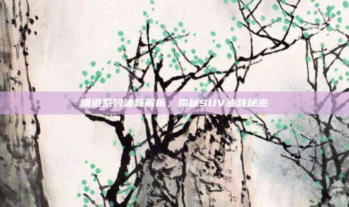 霸道系列油耗解析,揭秘SUV油耗秘密