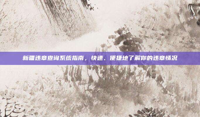 新疆违章查询系统指南,快速、便捷地了解你的违章情况