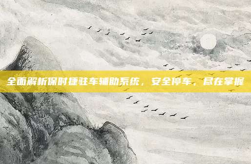 全面解析保时捷驻车辅助系统,安全停车,尽在掌握