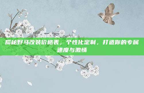 揭秘野马改装价格表,个性化定制,打造你的专属速度与激情