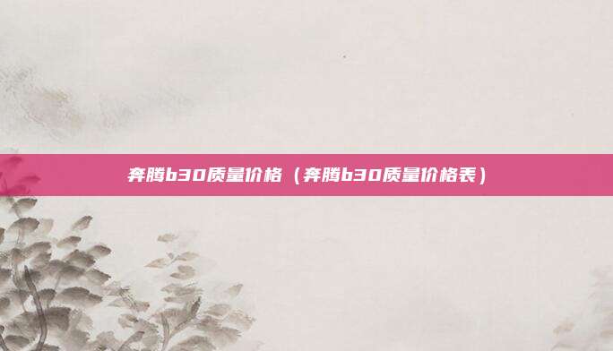 奔腾b30质量价格（奔腾b30质量价格表）