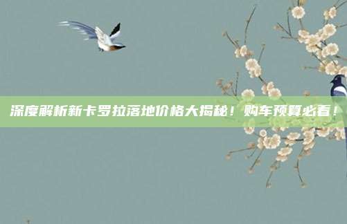 深度解析新卡罗拉落地价格大揭秘!购车预算必看!
