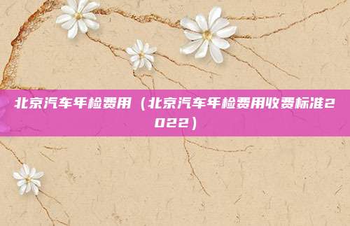 北京汽车年检费用（北京汽车年检费用收费标准2022）