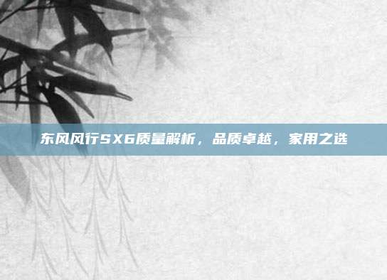 东风风行SX6质量解析,品质卓越,家用之选