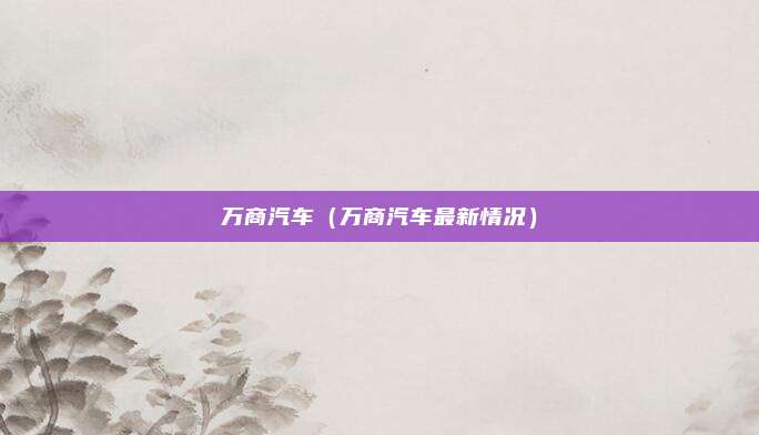 万商汽车（万商汽车最新情况）